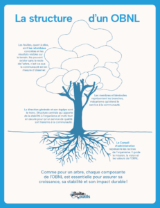 Dessin d'un arbre qui représente la structure d'un OBNL
